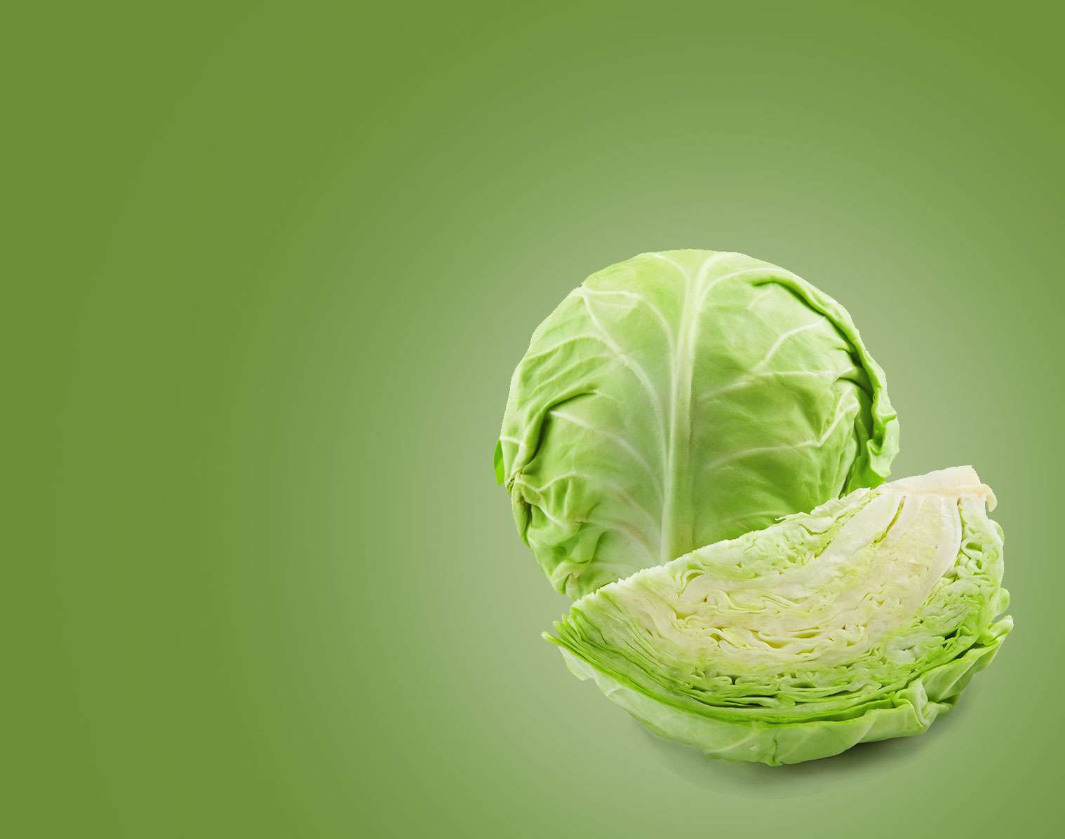 cabbage.jpg