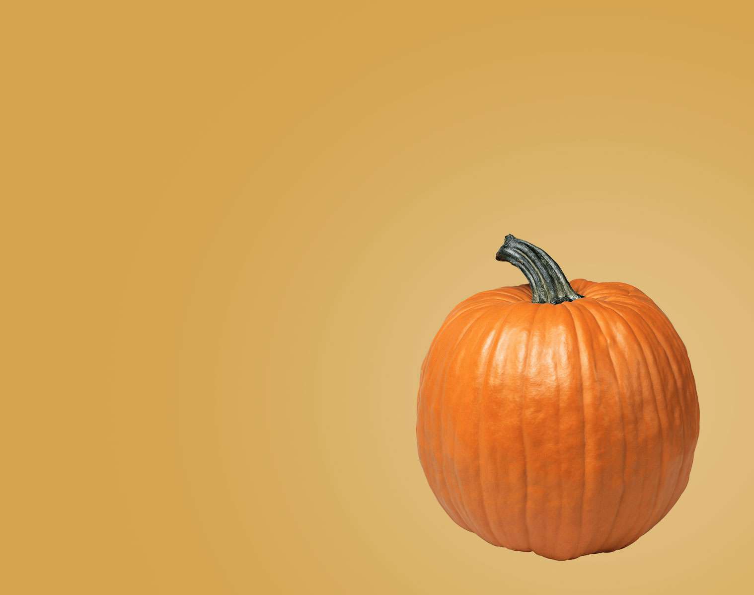 pumpkin.jpg